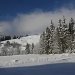 Vordergriess 4* Hochfilzen