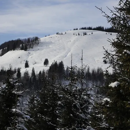 Vordergriess Πανσιόν