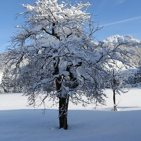 Vordergriess Hochfilzen