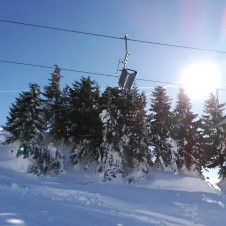 Vordergriess Πανσιόν 4*