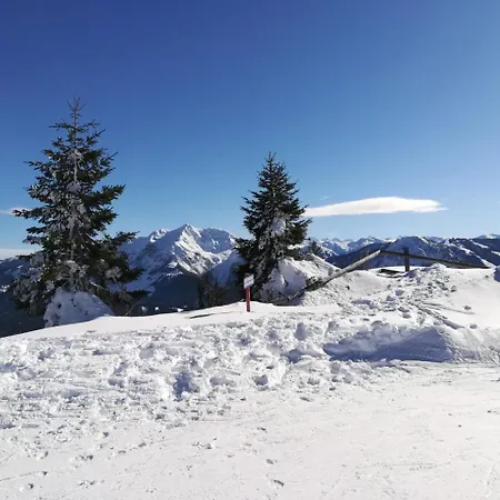 Vordergriess Hochfilzen