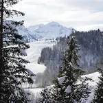 Vordergriess