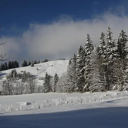 Vordergriess 4* Hochfilzen